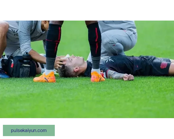 德甲转会焦点事件