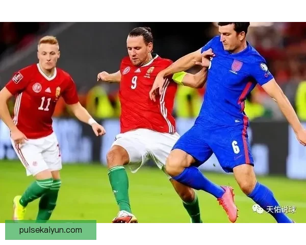 欧洲杯预选赛塞尔维亚队表现稳健，争取小组出线前景乐观