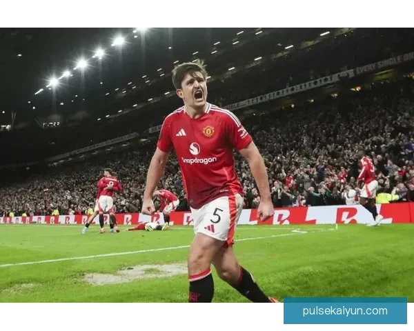 英超赛季分析：各球队表现稳健，竞争激烈局势持续升级